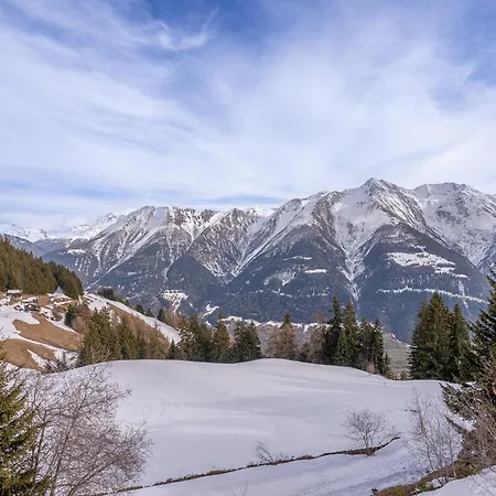 Uva Domek alpejski *